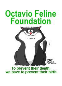 Octavio Feline Foundation